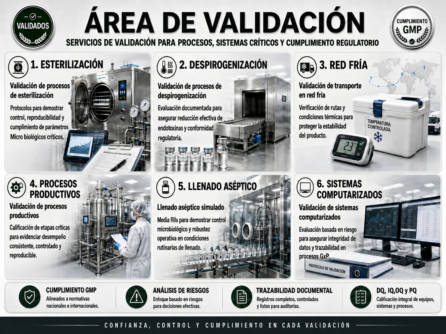 Servicio profesional de validación